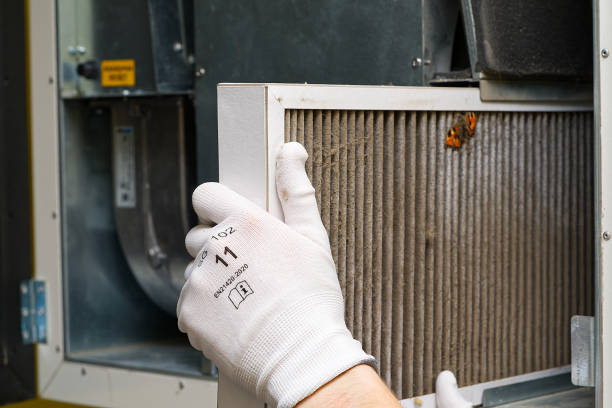 Best Air Duct Mold Removal  in Farmington, MO
